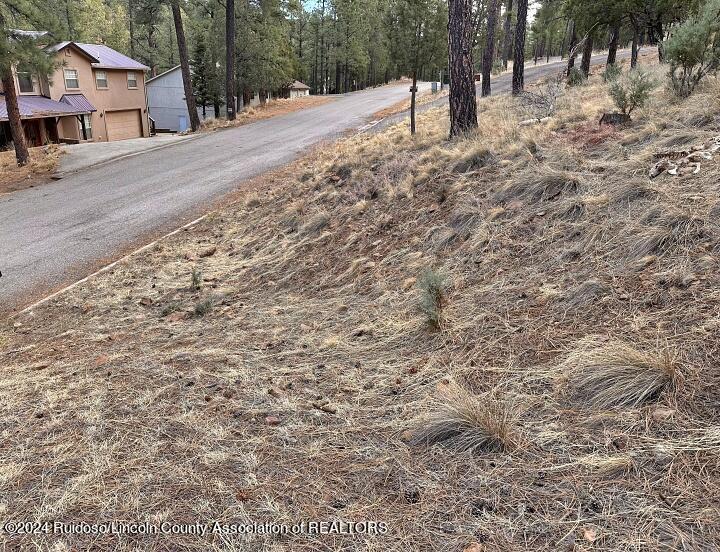 Ruidoso, New Mexico 88345, United States, ,Land,Pending,63624