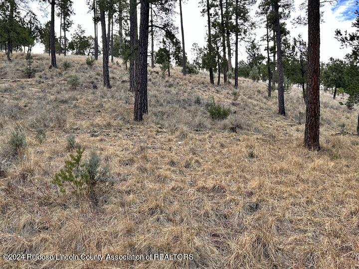 Ruidoso, New Mexico 88345, United States, ,Land,Pending,63624