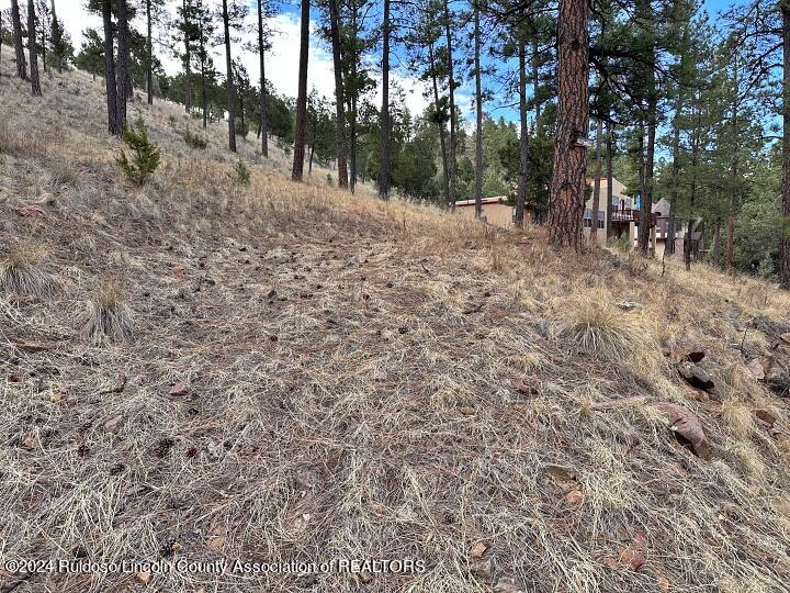 Ruidoso, New Mexico 88345, United States, ,Land,Pending,63624