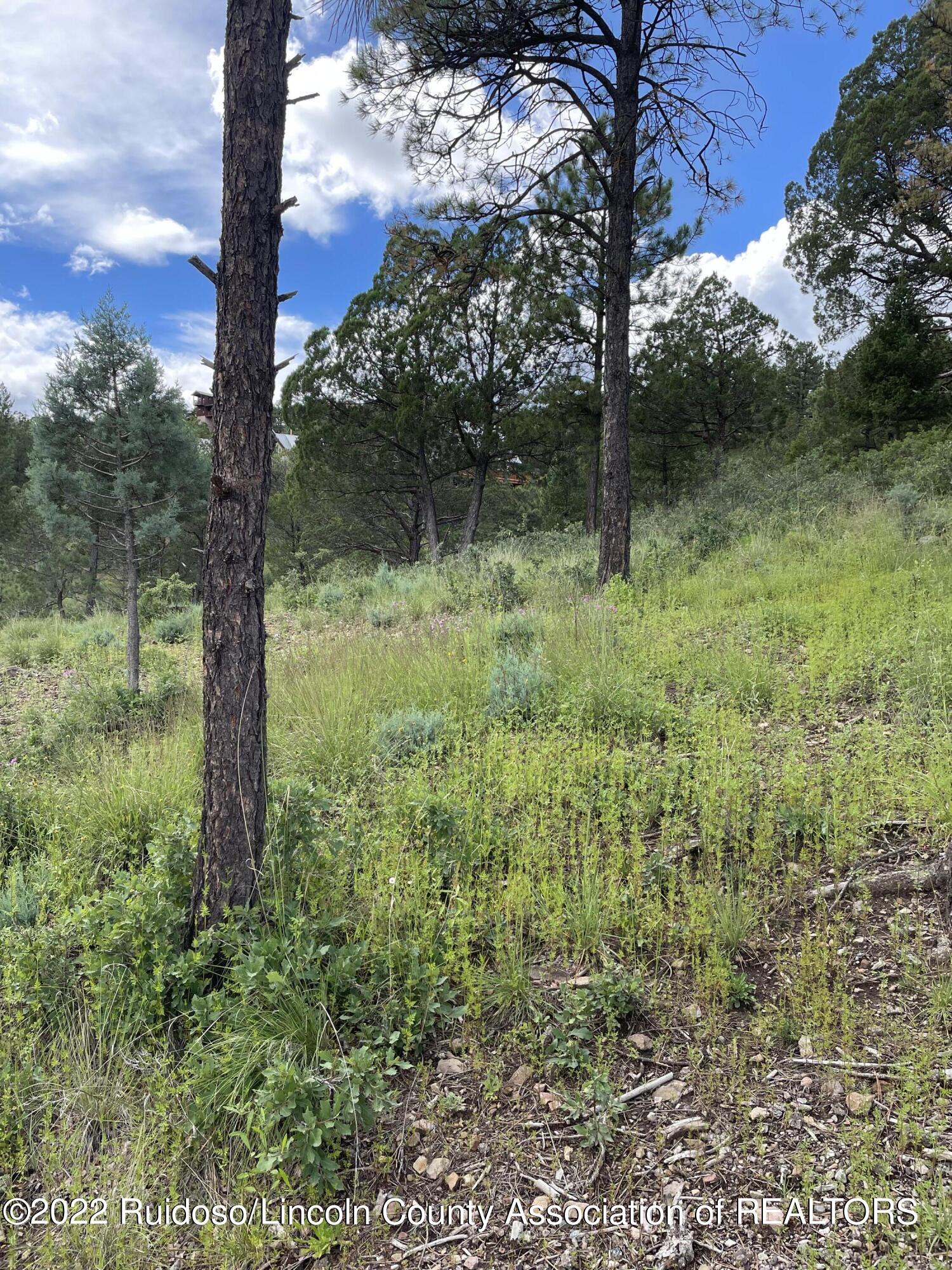 100 Ivanhoe Road #2, Ruidoso, New Mexico image 1