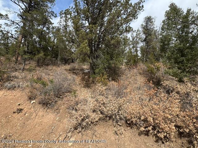 310 & 312 Cambridge Way, Ruidoso, New Mexico image 9