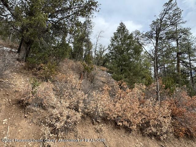 310 & 312 Cambridge Way, Ruidoso, New Mexico image 7