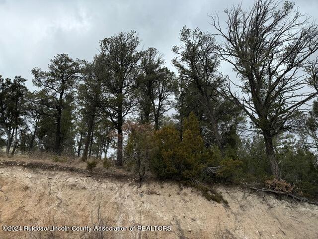 310 & 312 Cambridge Way, Ruidoso, New Mexico image 4