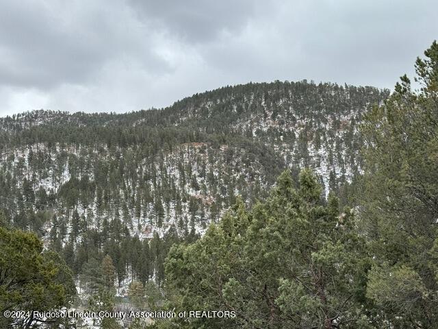 310 & 312 Cambridge Way, Ruidoso, New Mexico image 2