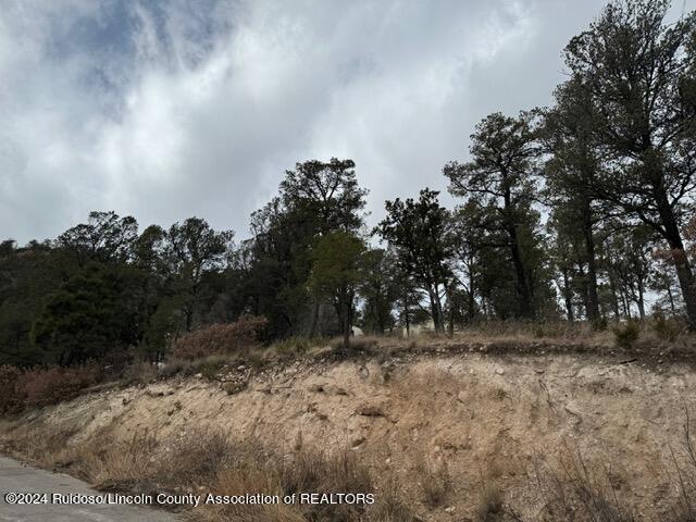 310 & 312 Cambridge Way, Ruidoso, New Mexico image 3