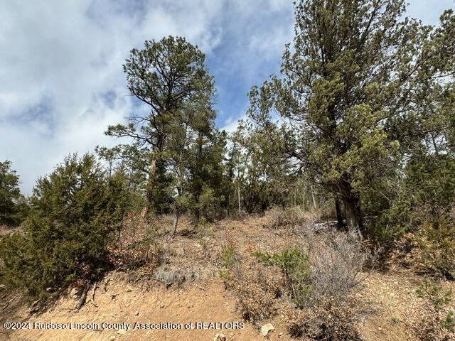 310 & 312 Cambridge Way, Ruidoso, New Mexico image 8