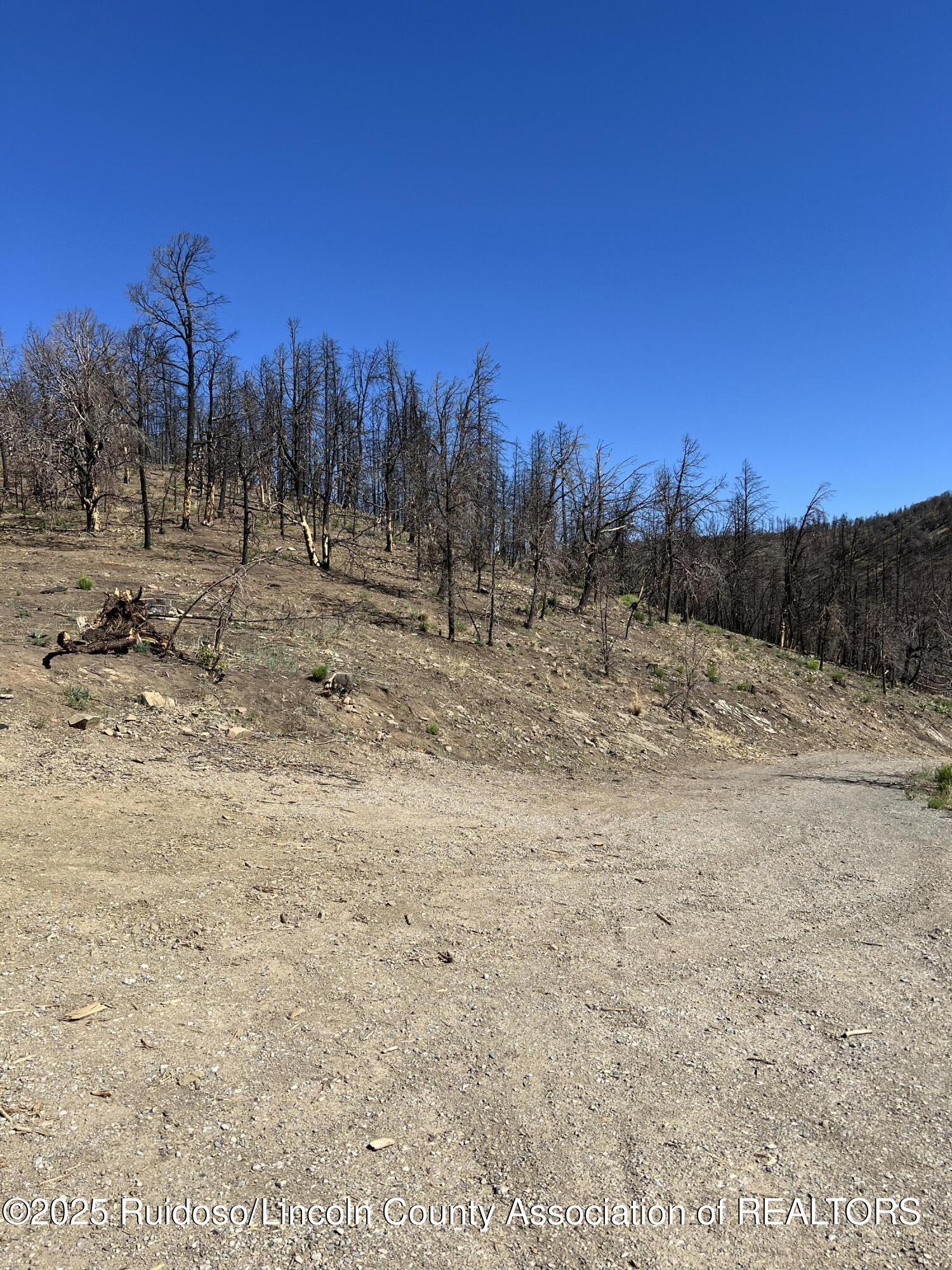 109 Spring Canyon Road, Ruidoso, New Mexico image 7