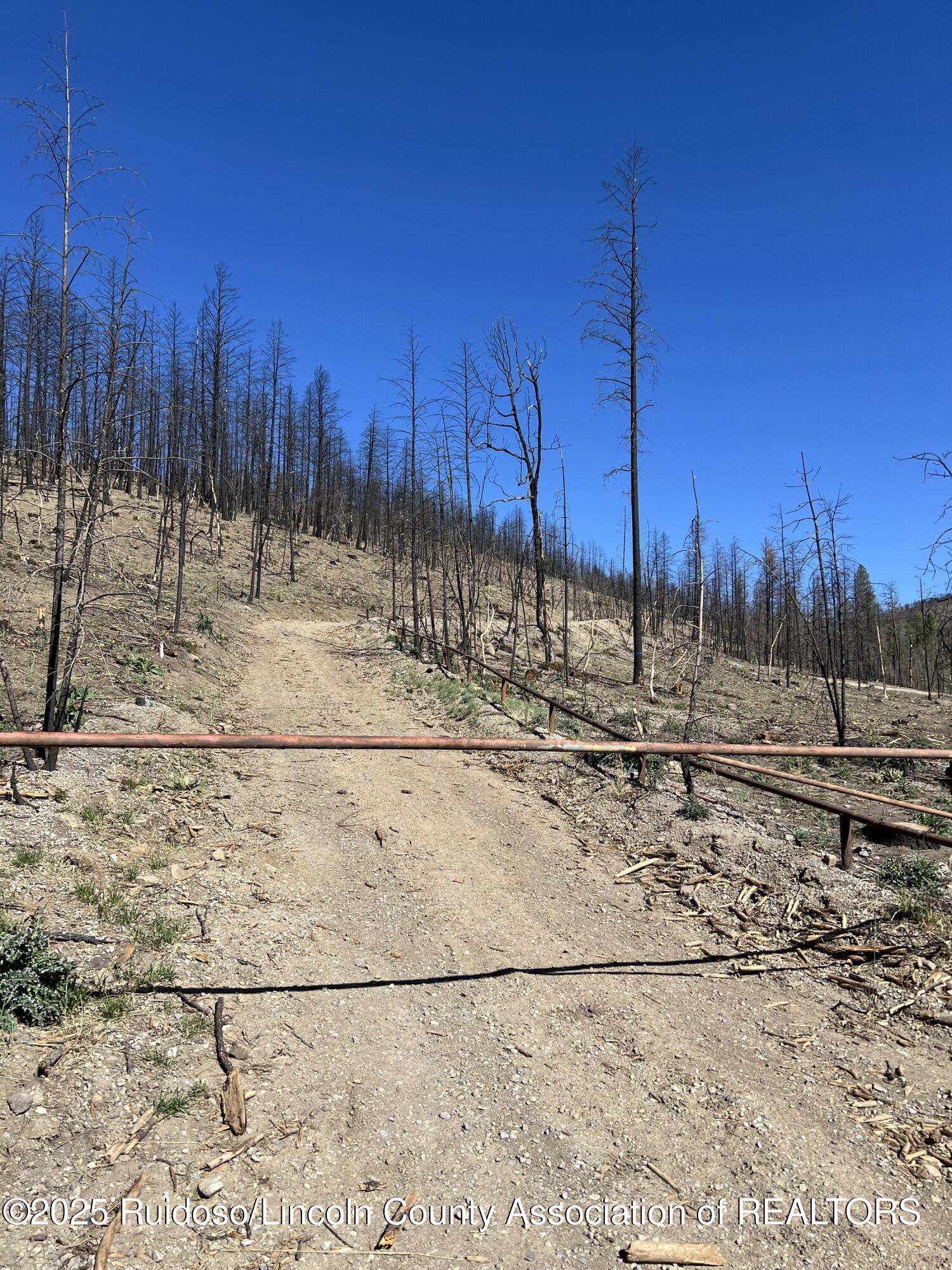 109 Spring Canyon Road, Ruidoso, New Mexico image 1