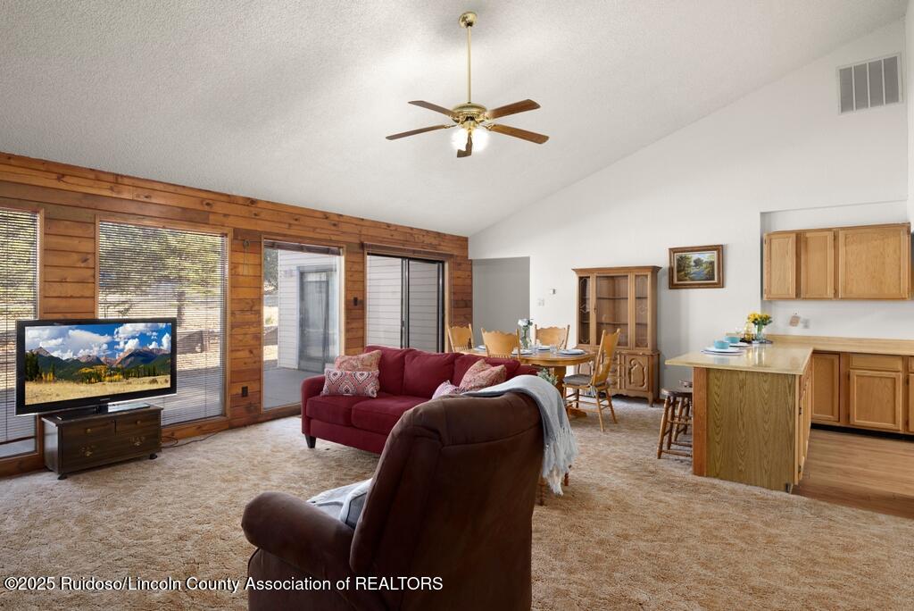 140 Biscuit Hill Road, Ruidoso Downs, New Mexico image 8