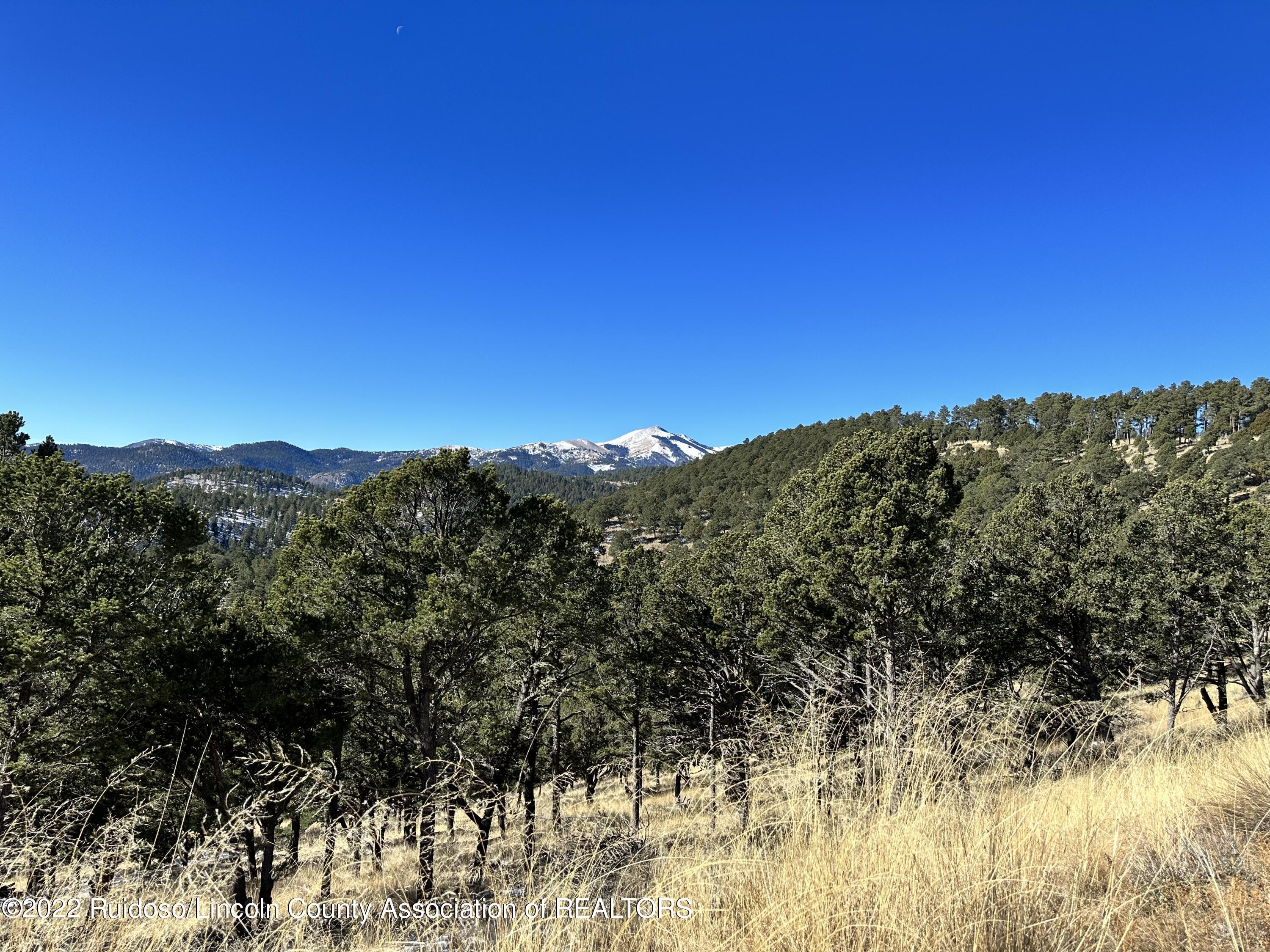 1601 Mechem Drive, Ruidoso, New Mexico image 23