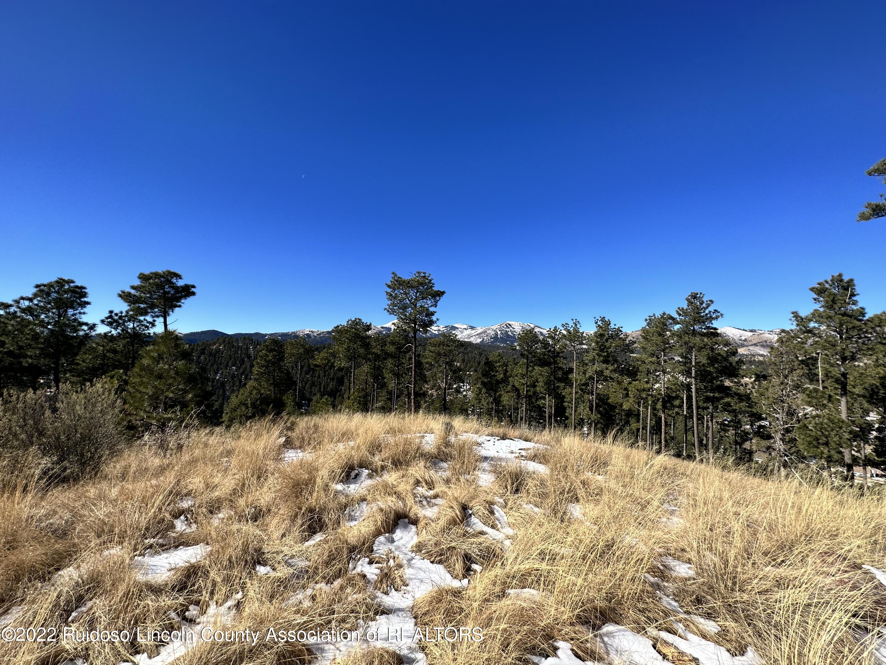 1601 Mechem Drive, Ruidoso, New Mexico image 12