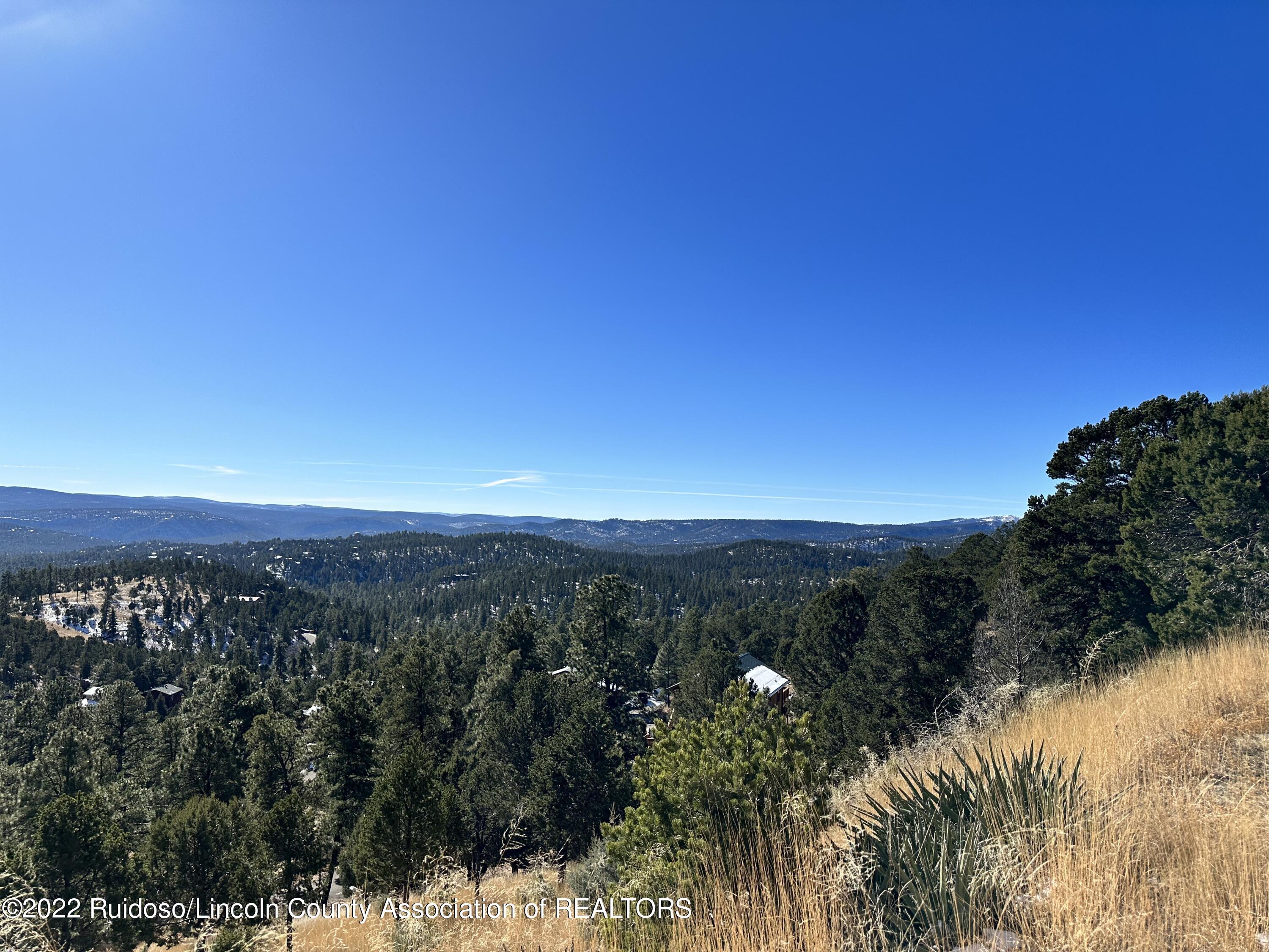 1601 Mechem Drive, Ruidoso, New Mexico image 4