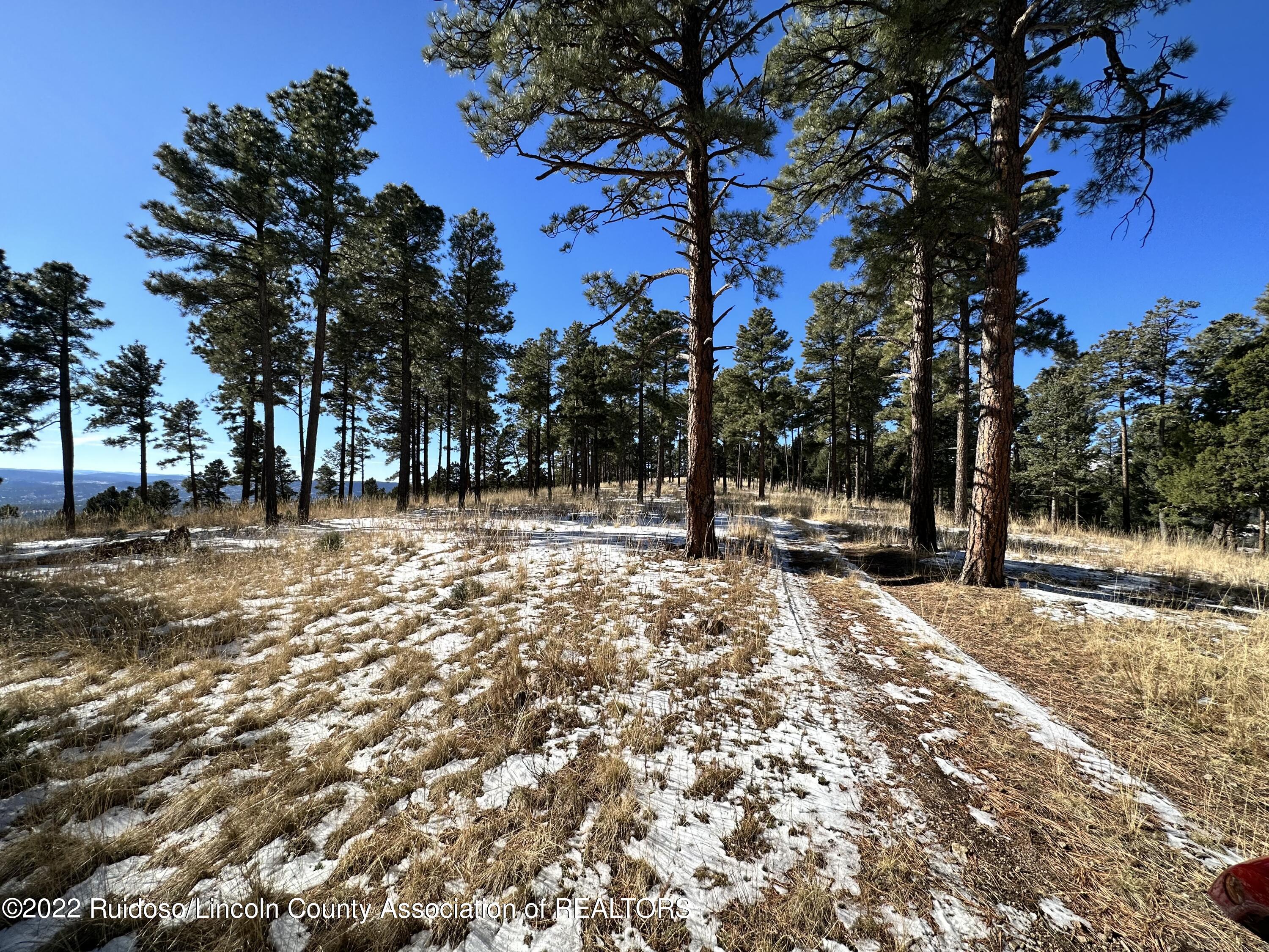 1601 Mechem Drive, Ruidoso, New Mexico image 9