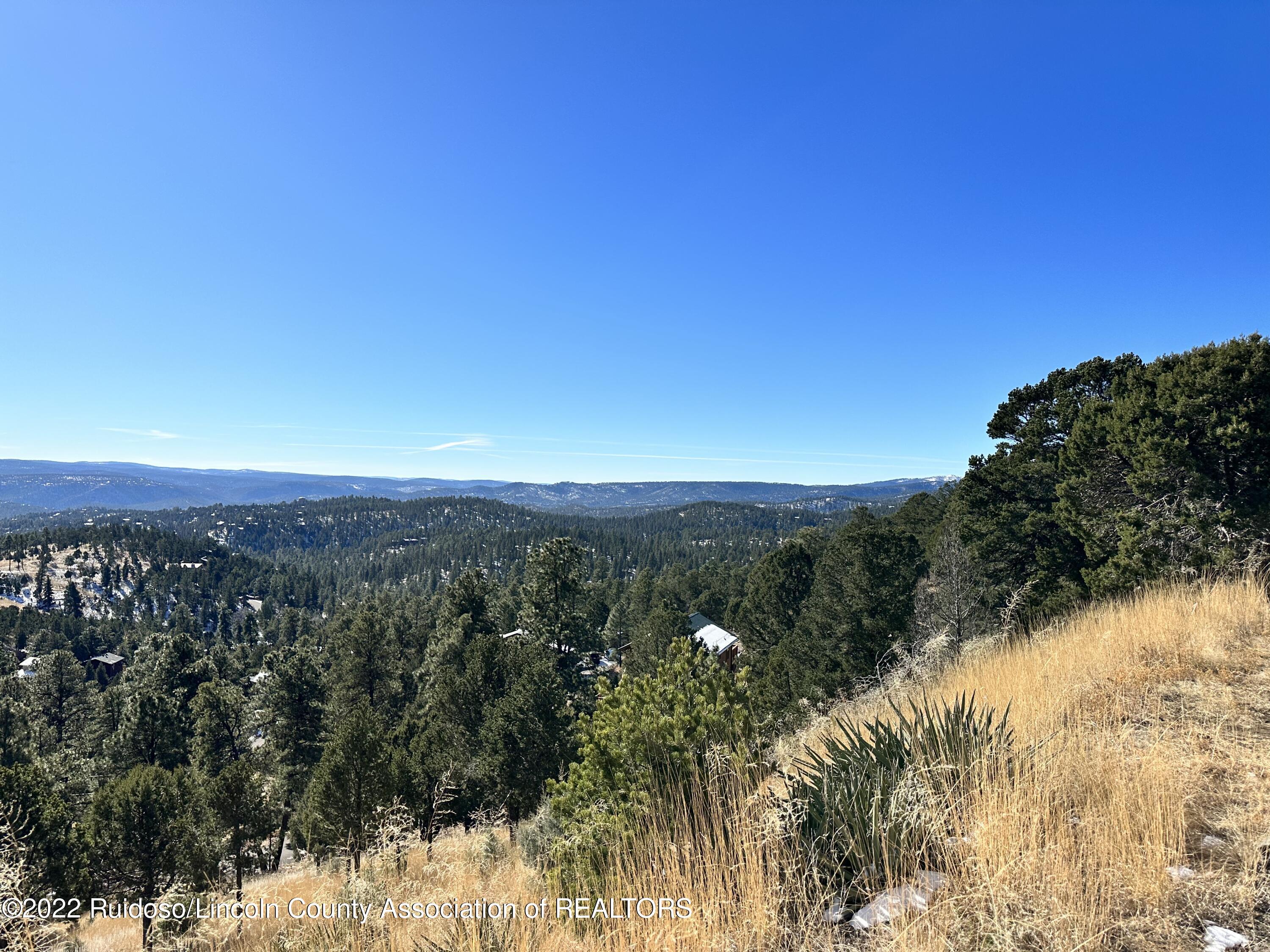 1601 Mechem Drive, Ruidoso, New Mexico image 8