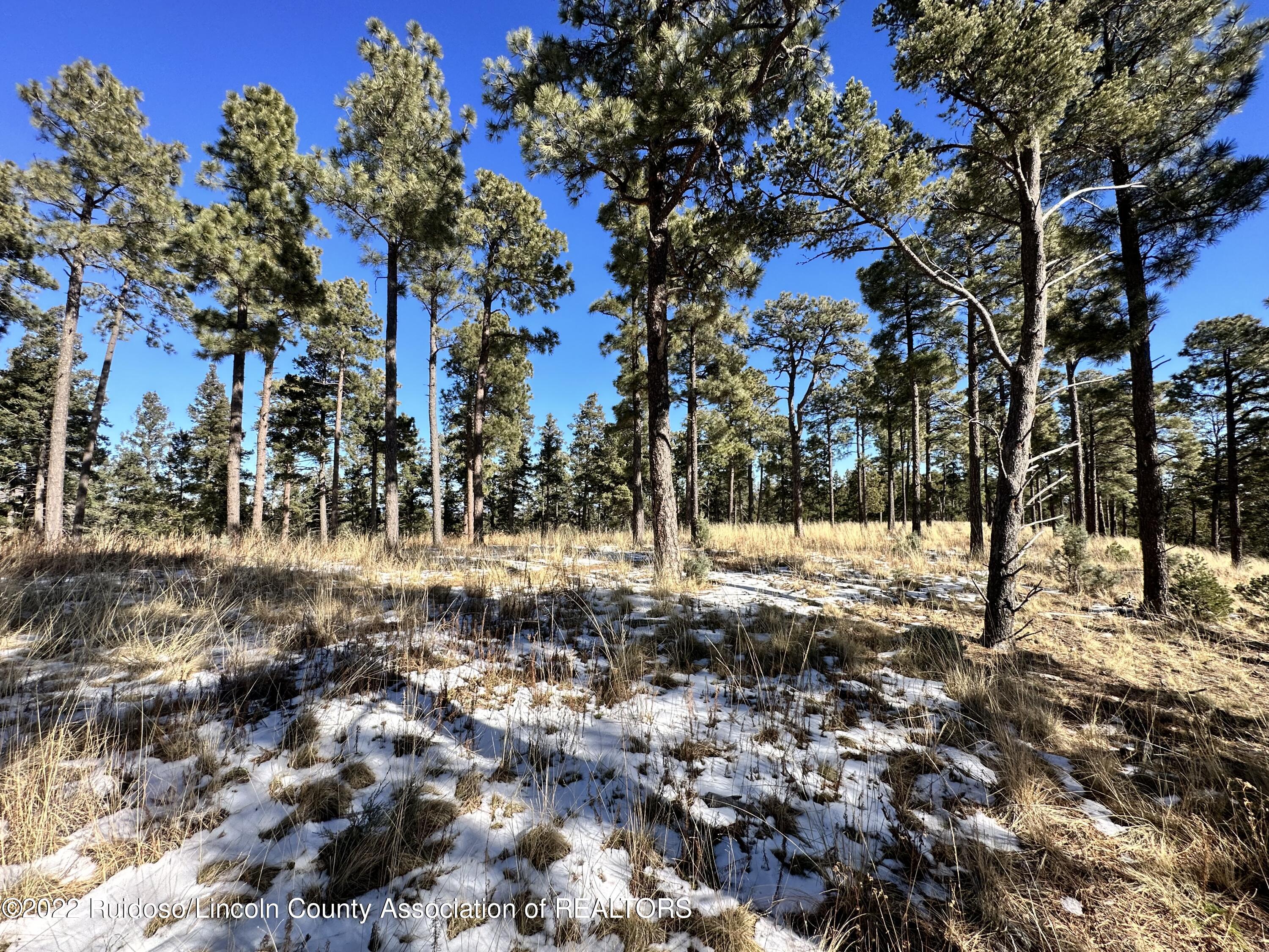 1601 Mechem Drive, Ruidoso, New Mexico image 6