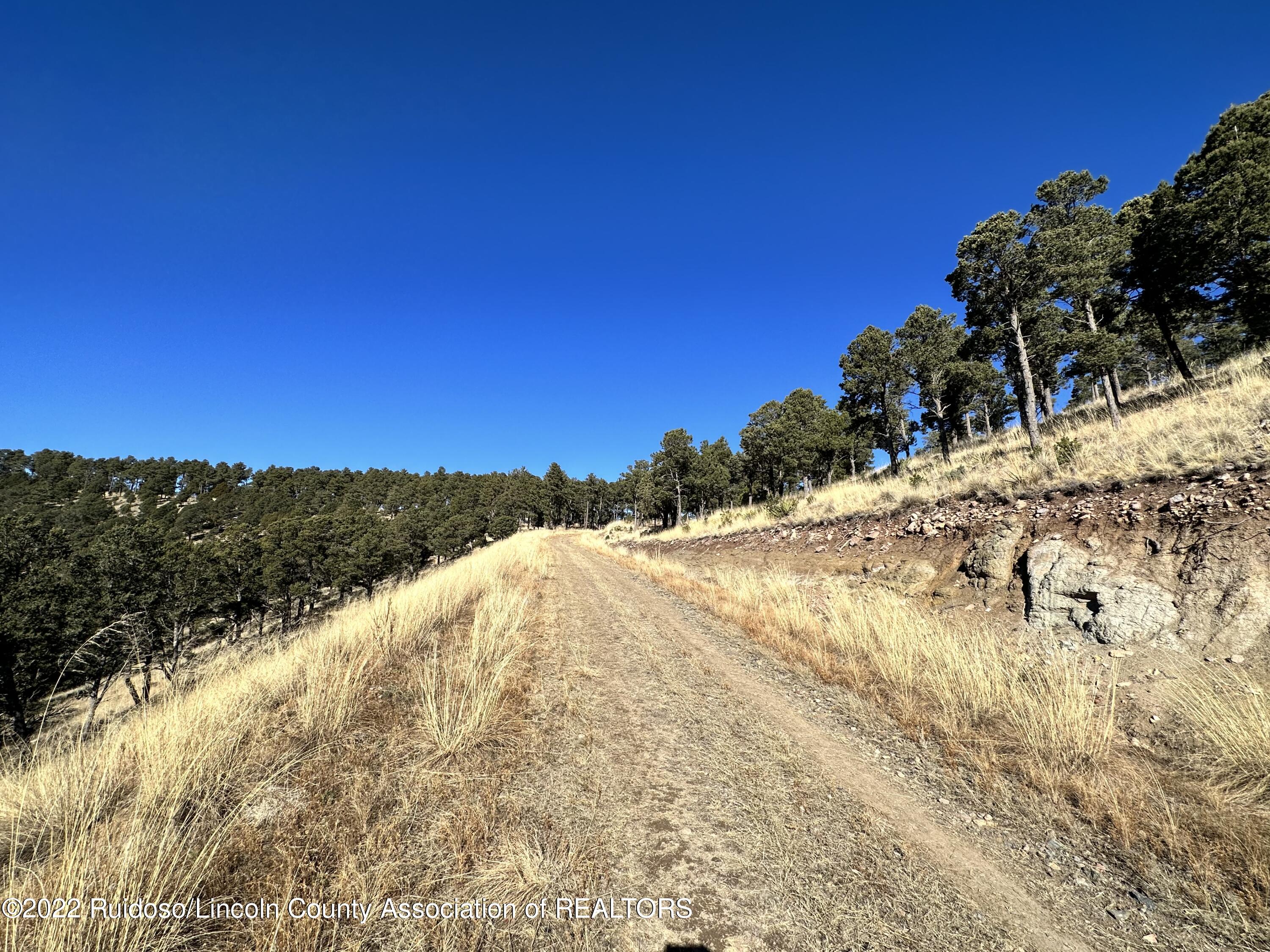 1601 Mechem Drive, Ruidoso, New Mexico image 22