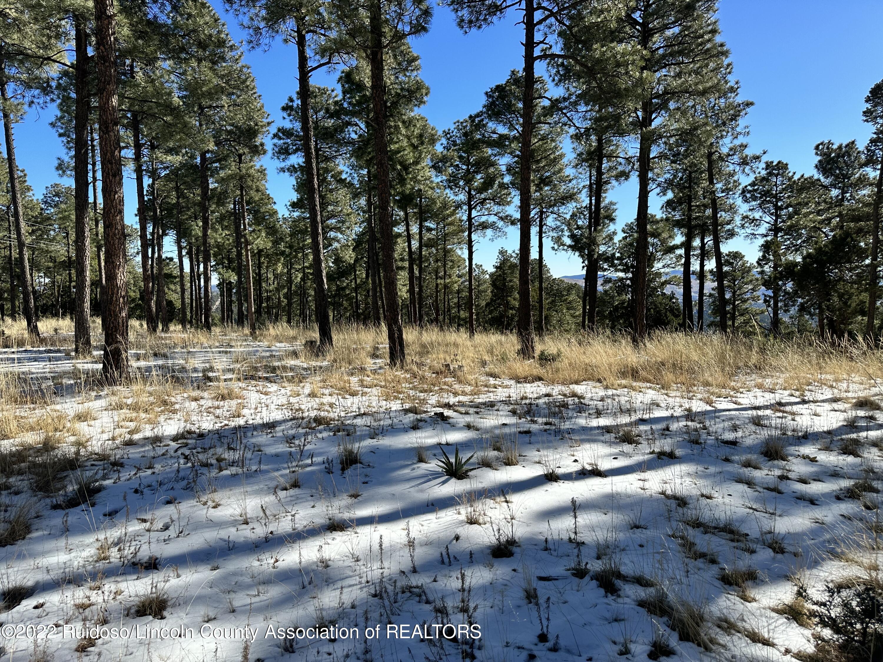 1601 Mechem Drive, Ruidoso, New Mexico image 5