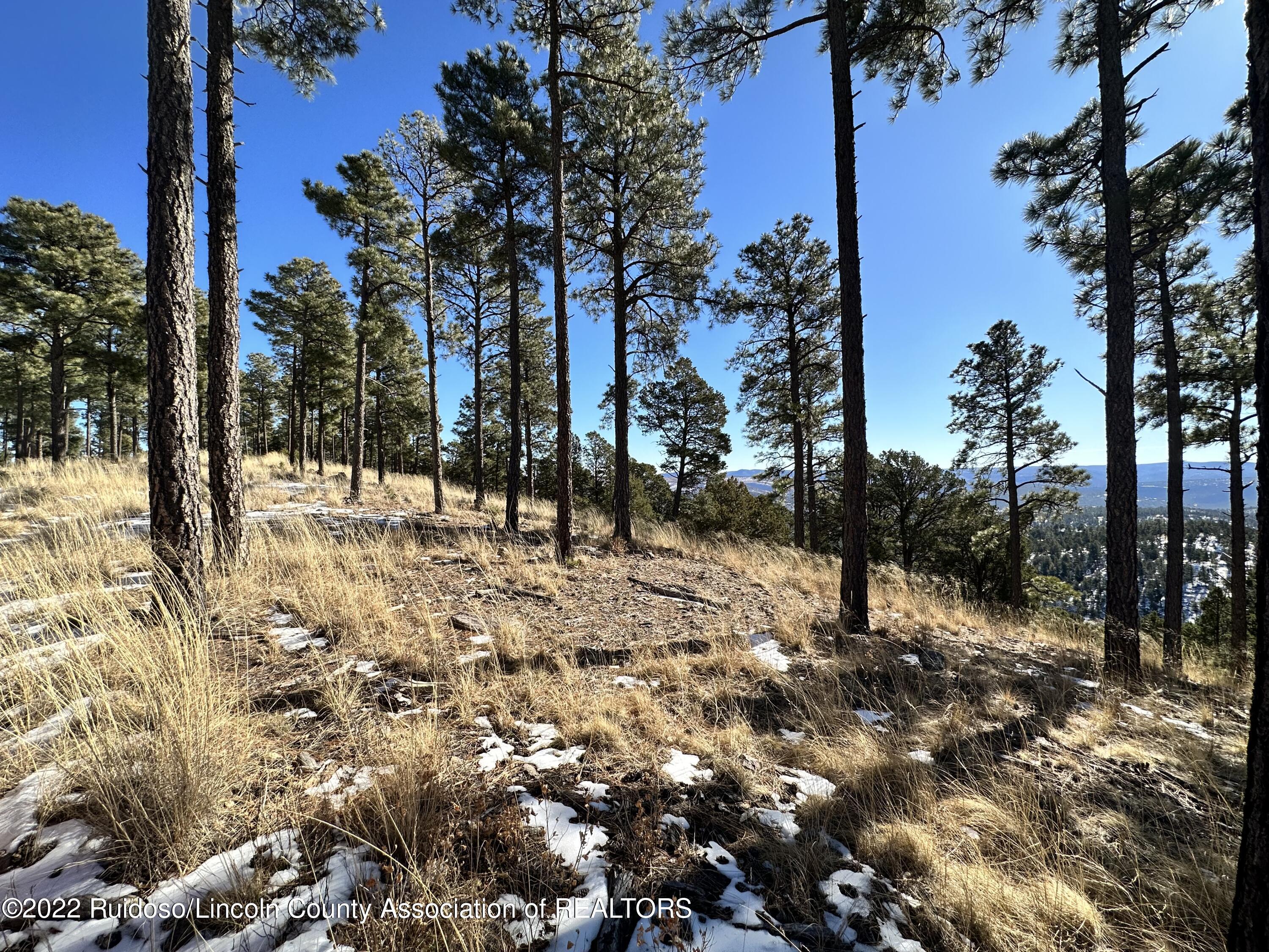 1601 Mechem Drive, Ruidoso, New Mexico image 13