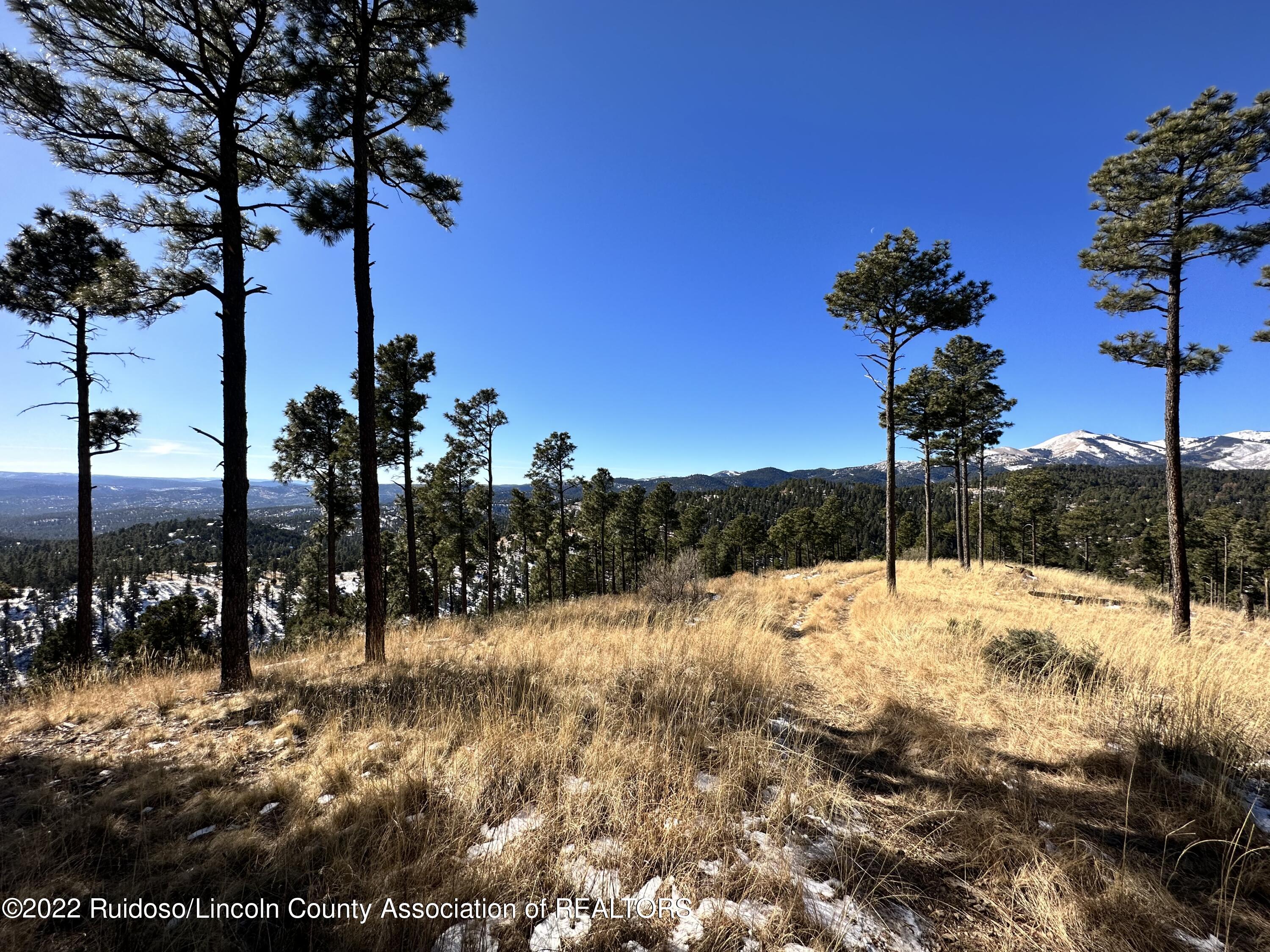 1601 Mechem Drive, Ruidoso, New Mexico image 15