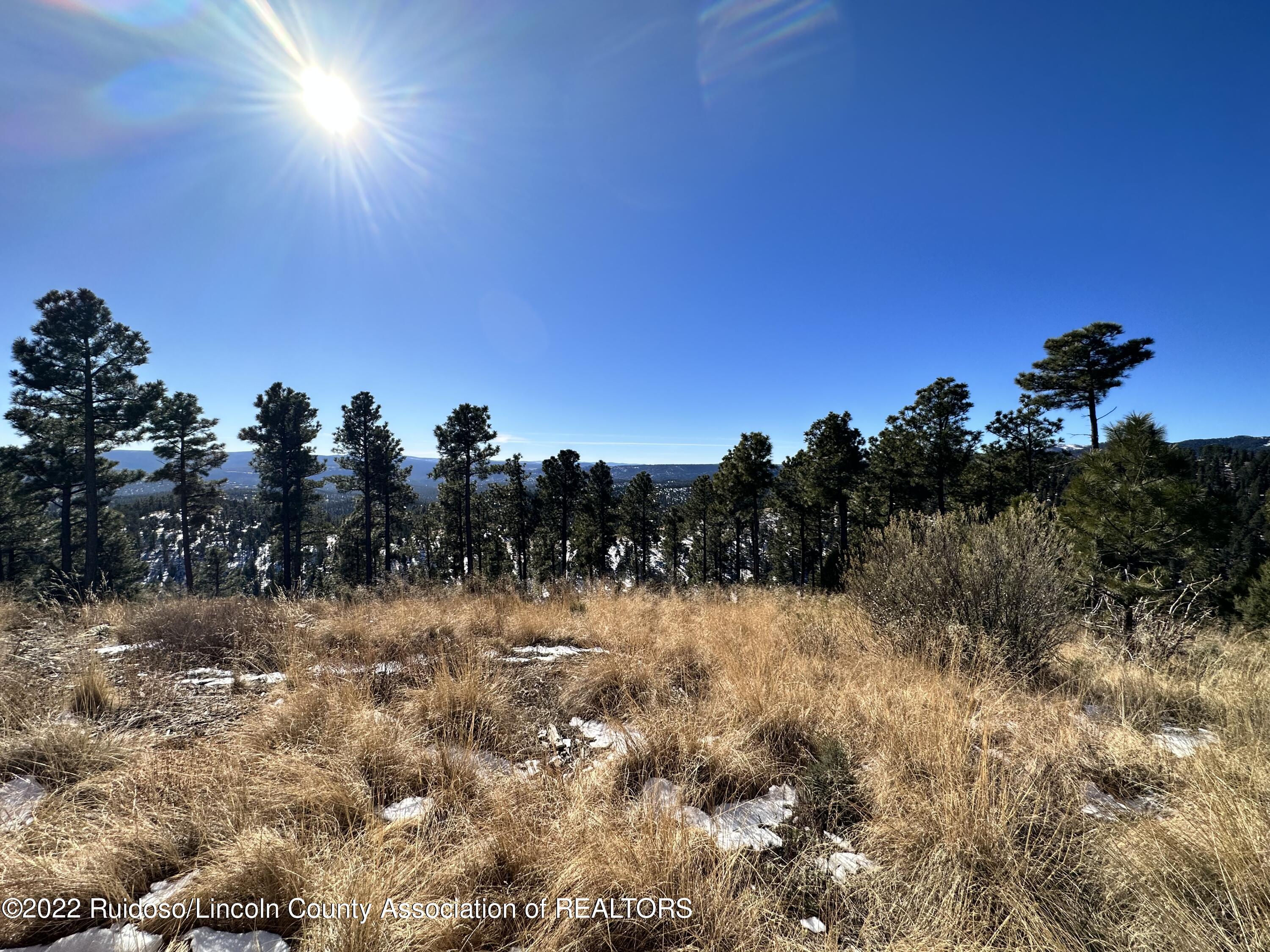 1601 Mechem Drive, Ruidoso, New Mexico image 19