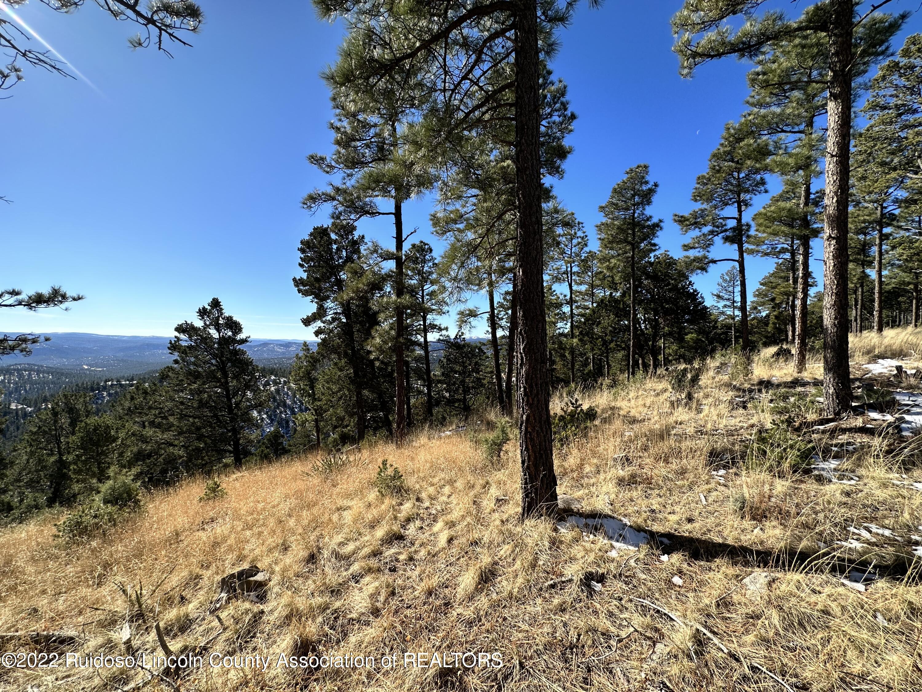 1601 Mechem Drive, Ruidoso, New Mexico image 10