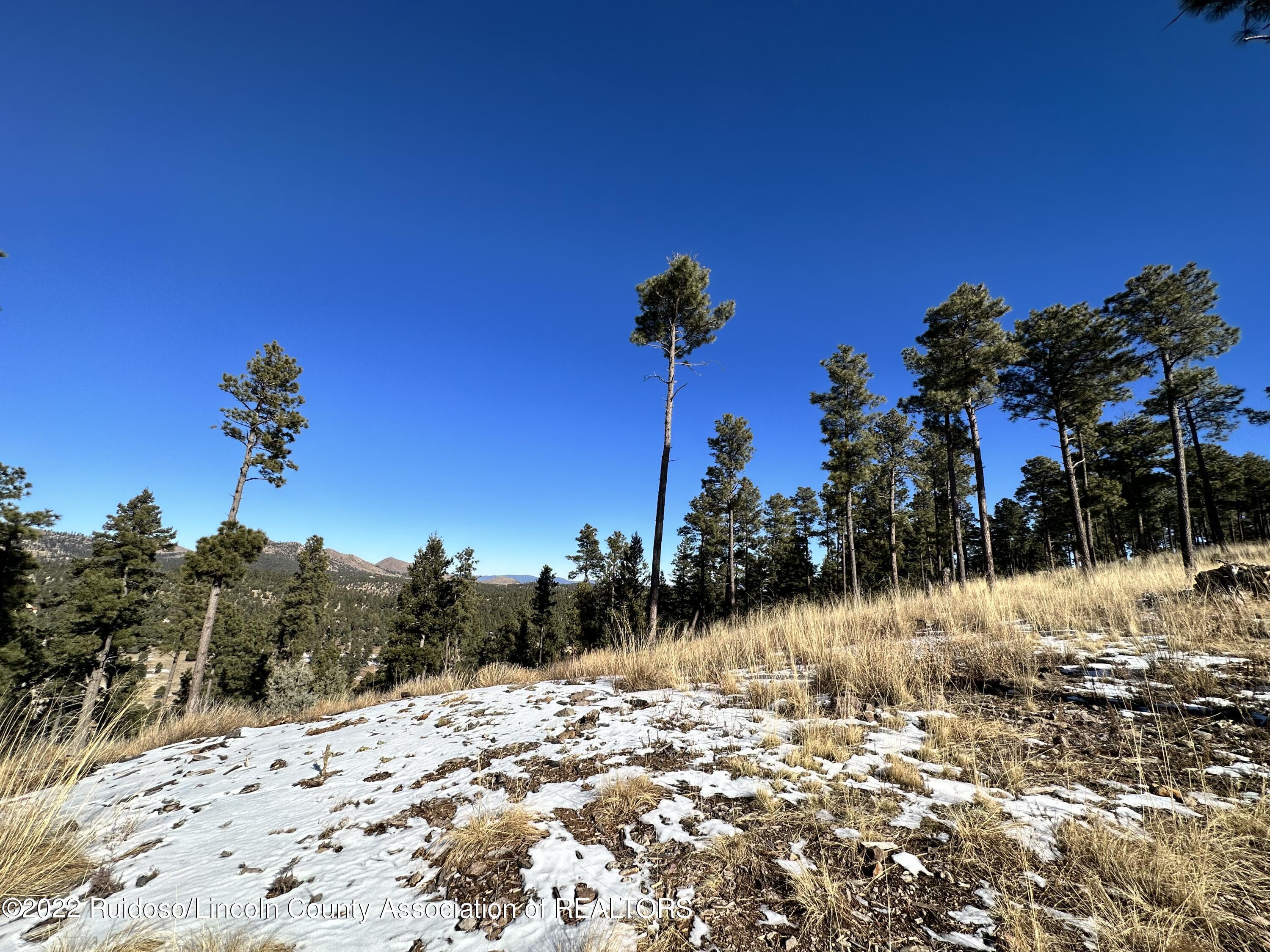 1601 Mechem Drive, Ruidoso, New Mexico image 18