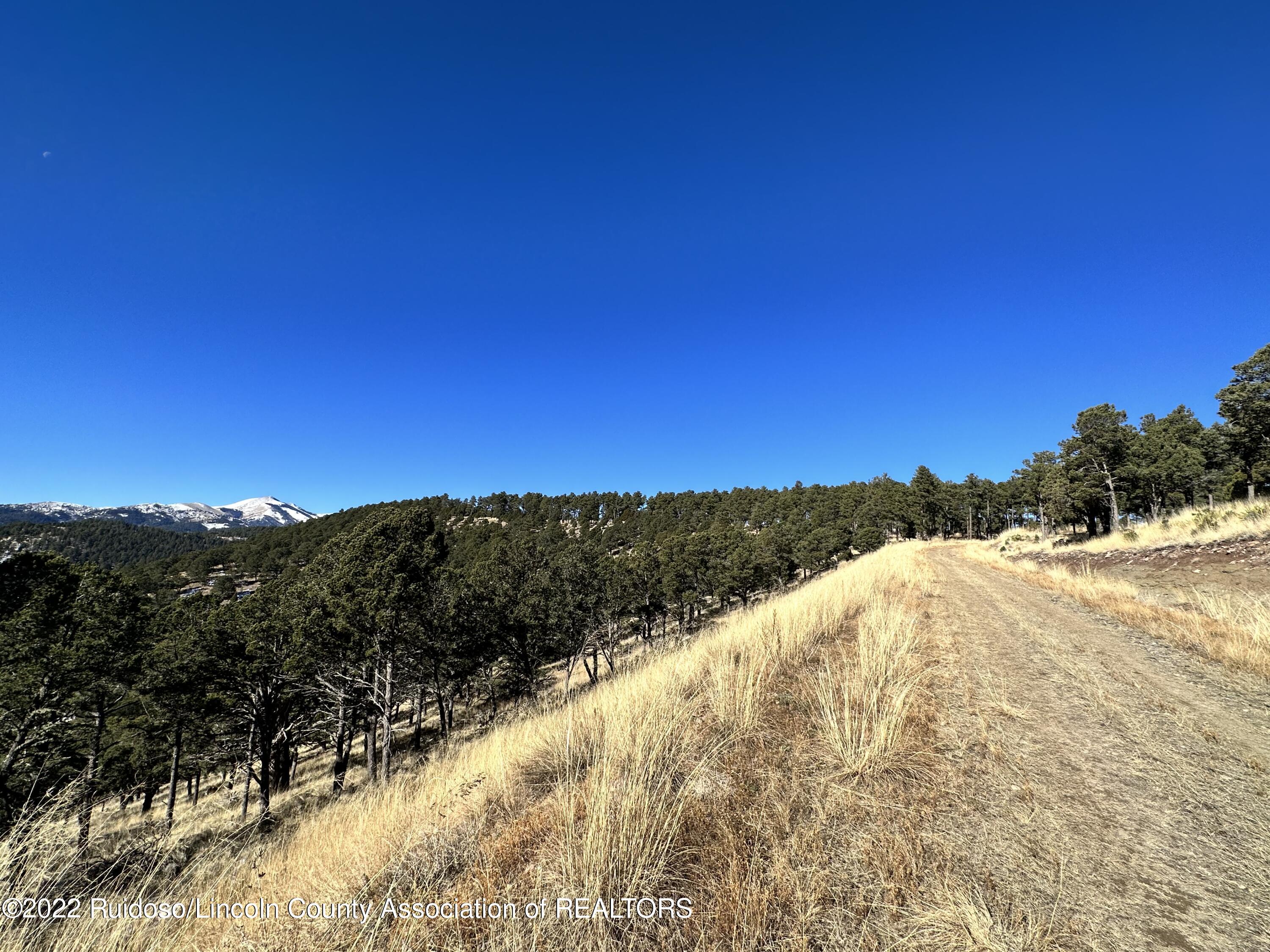 1601 Mechem Drive, Ruidoso, New Mexico image 25