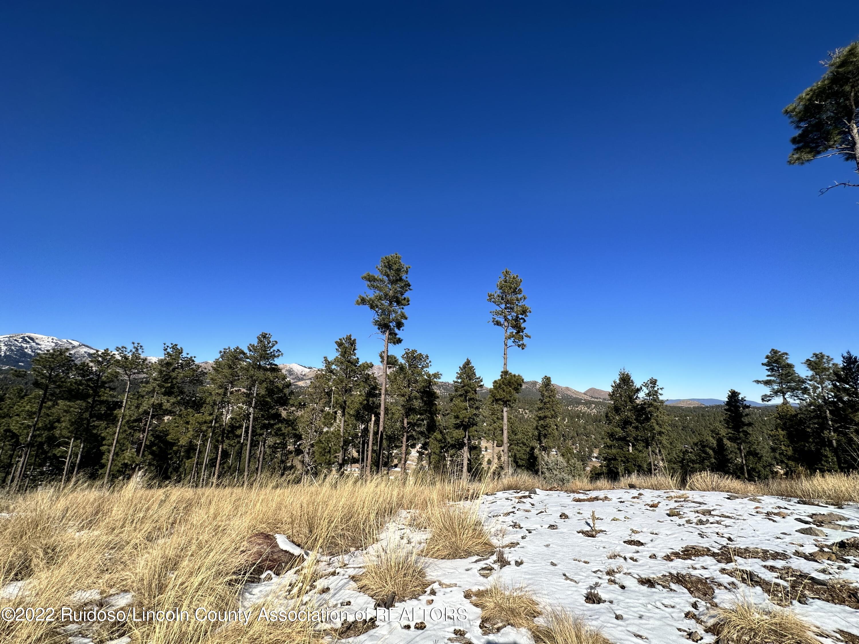 1601 Mechem Drive, Ruidoso, New Mexico image 21