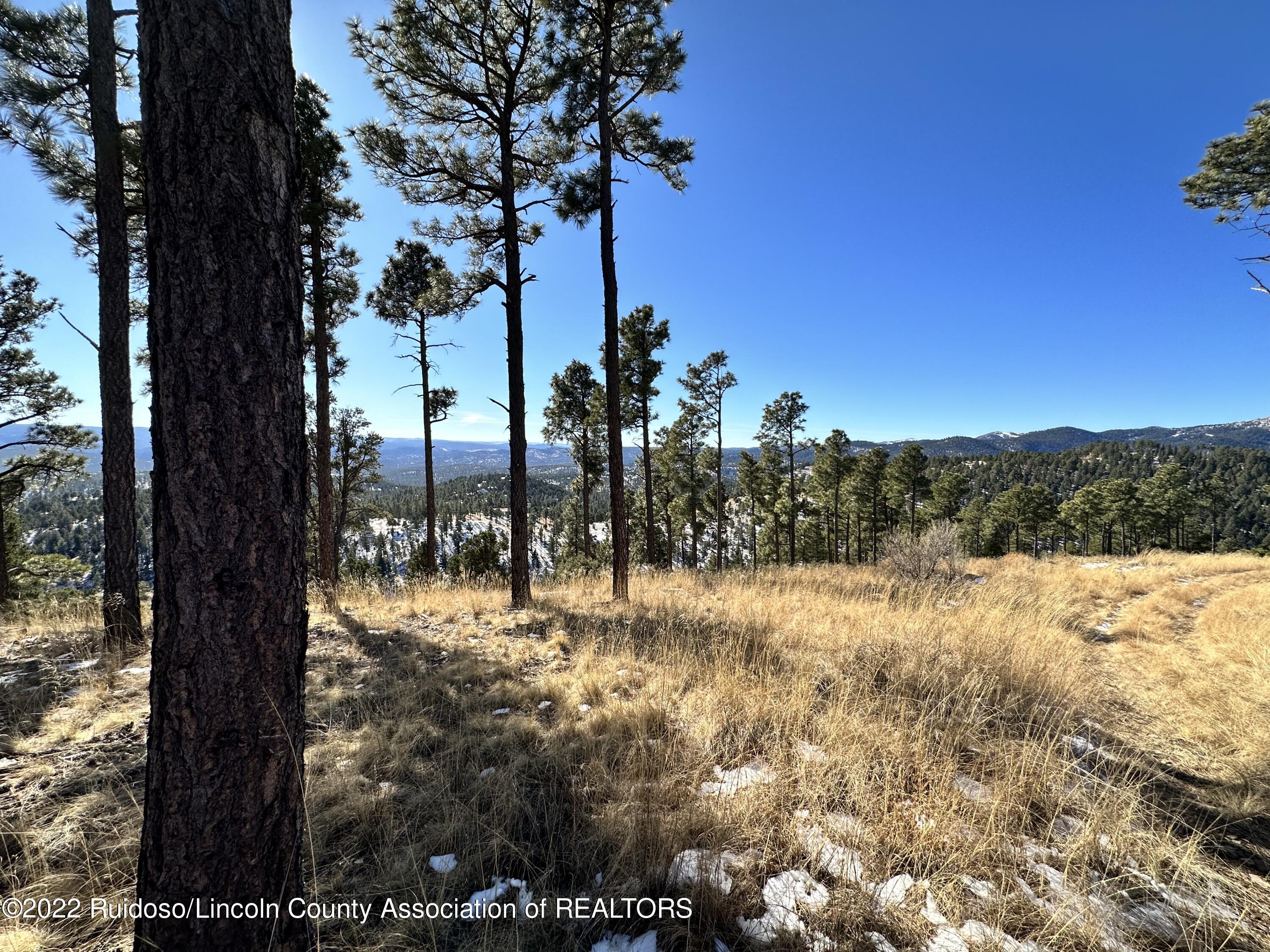 1601 Mechem Drive, Ruidoso, New Mexico image 14