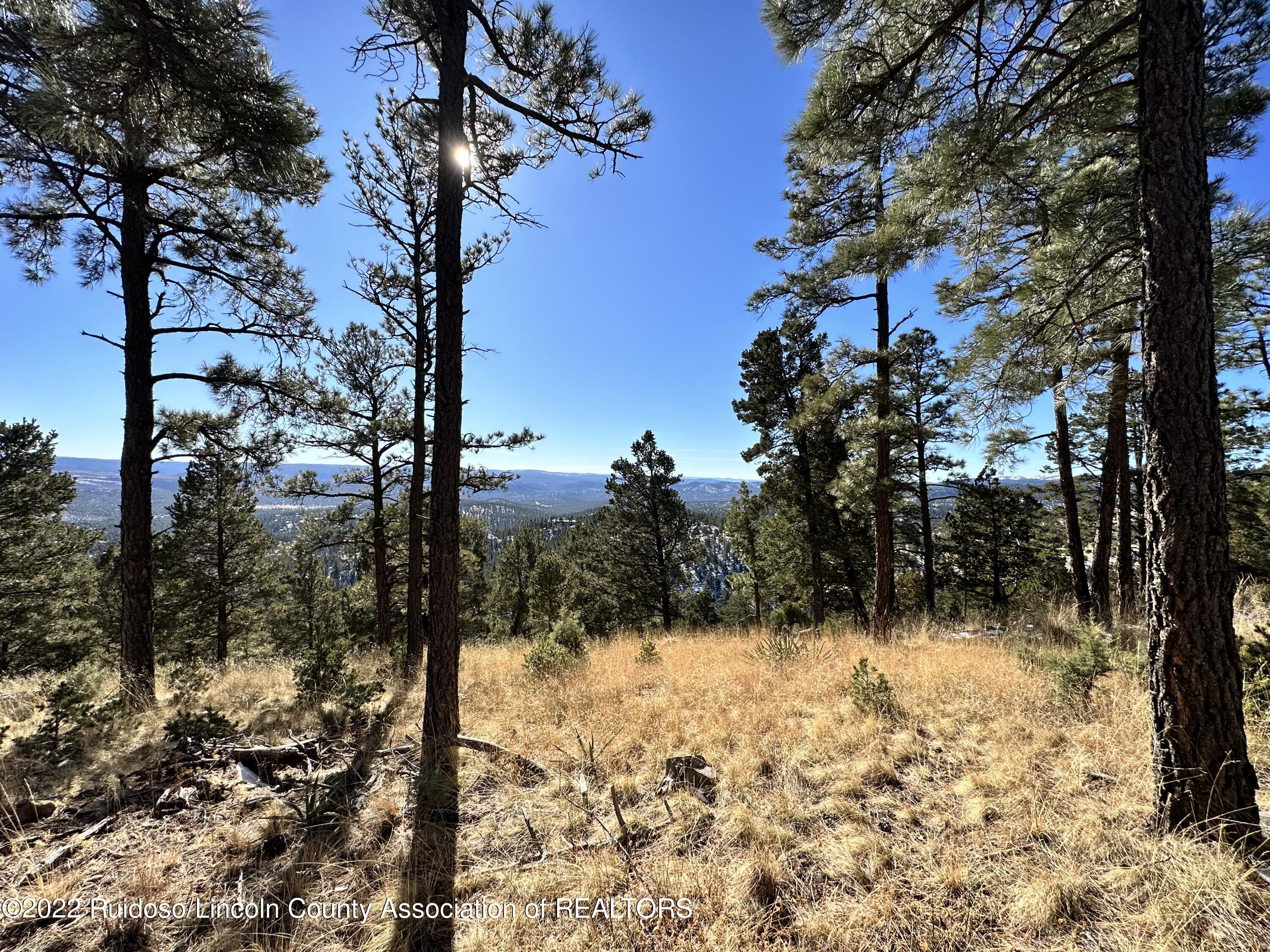 1601 Mechem Drive, Ruidoso, New Mexico image 7