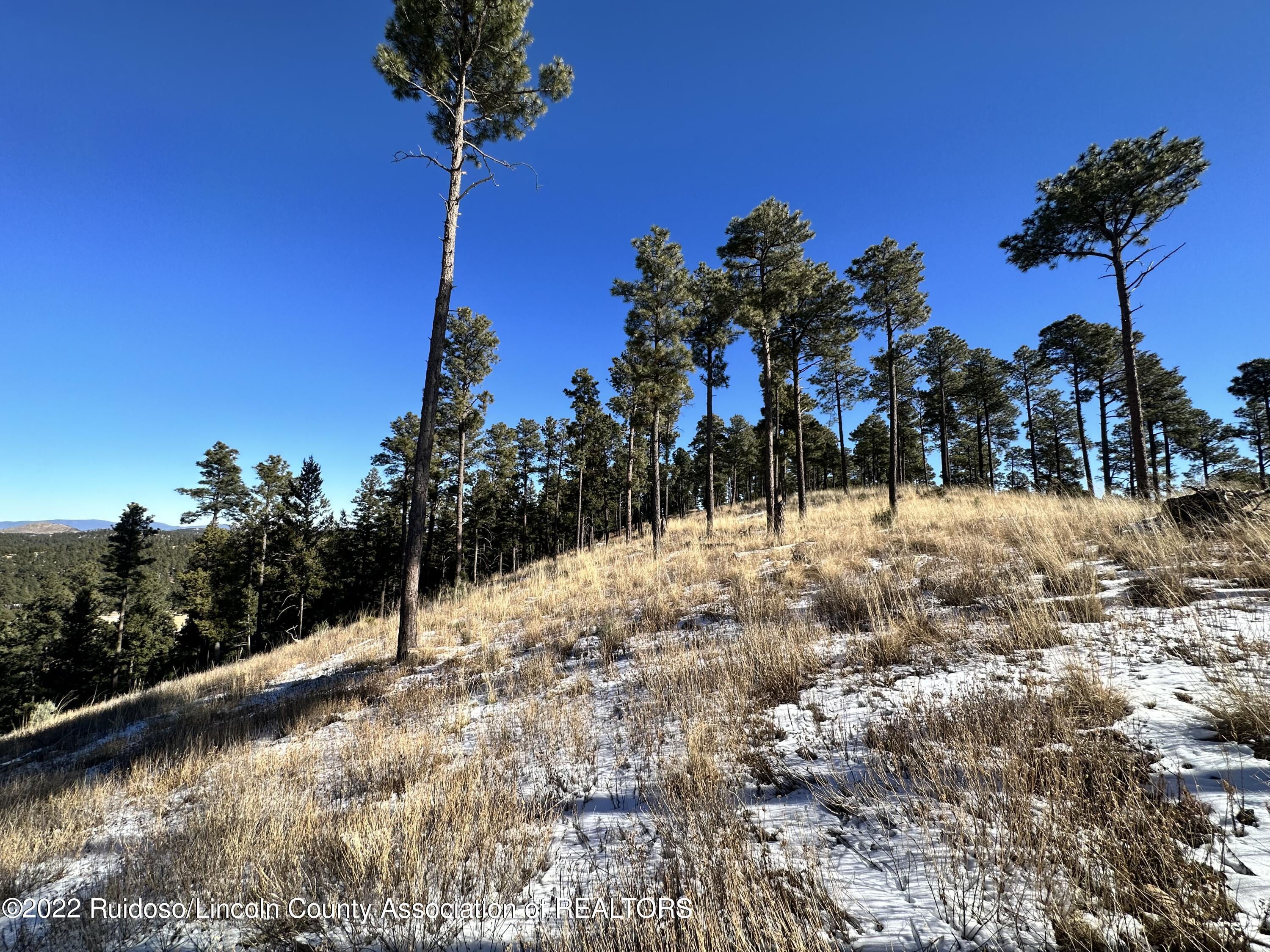 1601 Mechem Drive, Ruidoso, New Mexico image 20