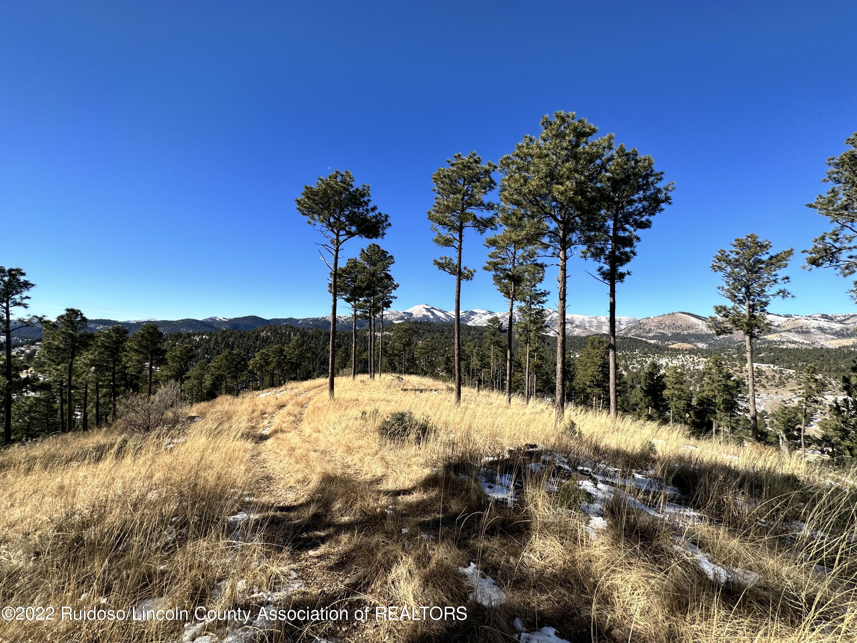 1601 Mechem Drive, Ruidoso, New Mexico image 11