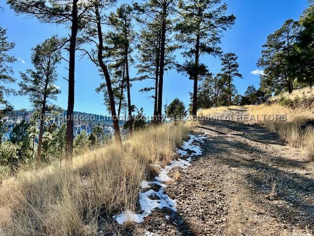 210 Forrest Lane, Ruidoso, New Mexico image 12