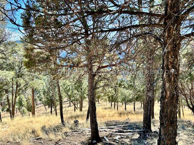 210 Forrest Lane, Ruidoso, New Mexico image 7