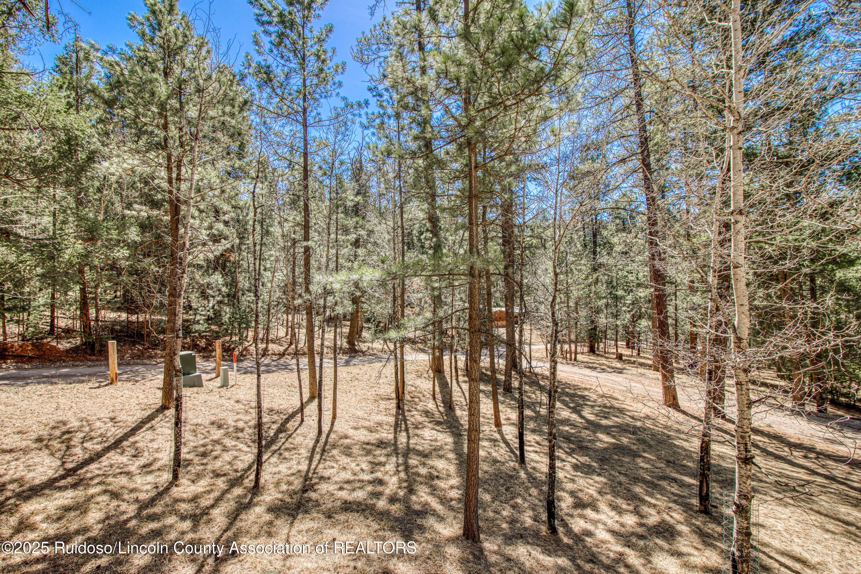 9 Crestview Drive, Cloudcroft, New Mexico image 26