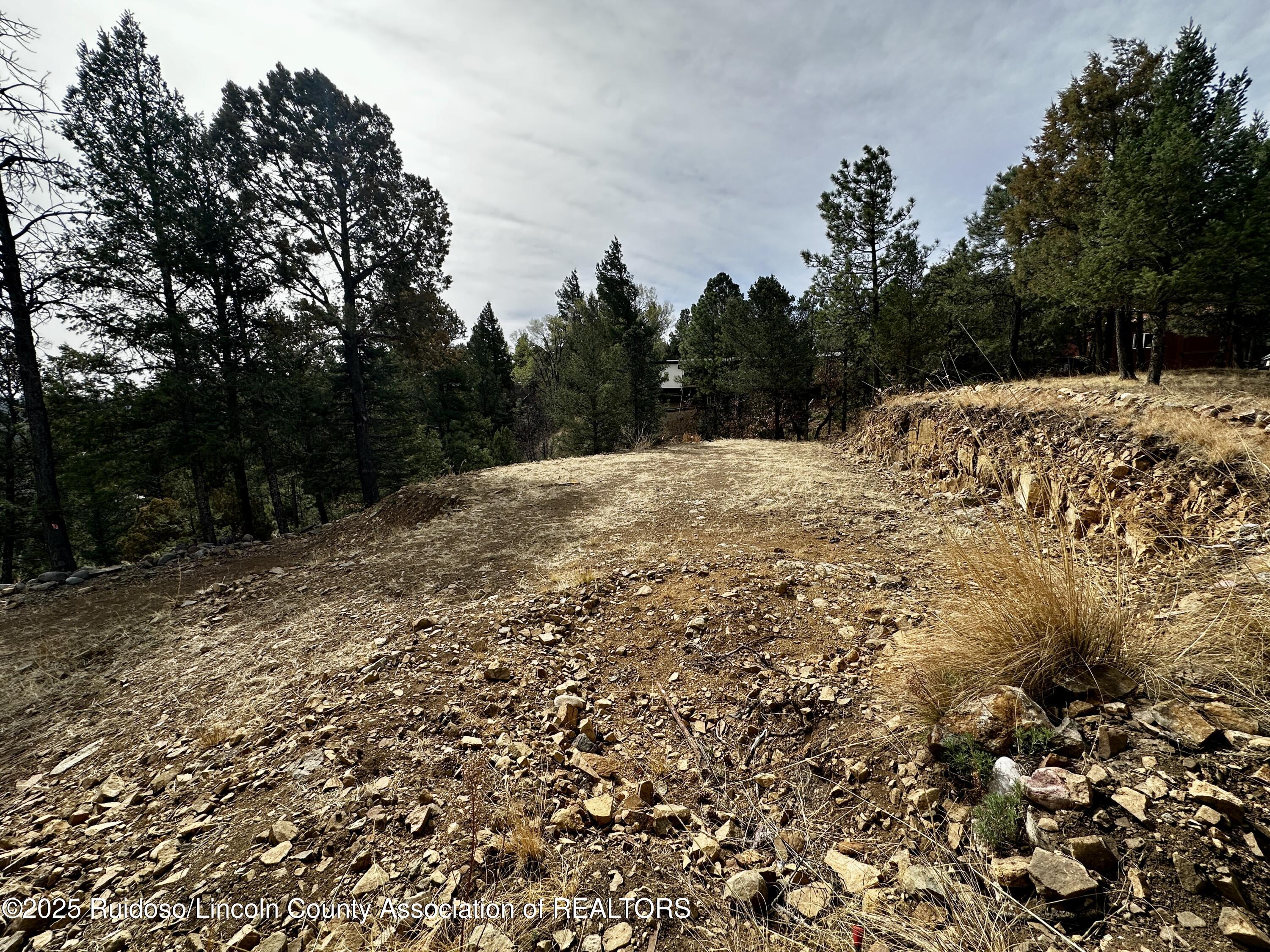 106 Nopal Lane, Ruidoso, New Mexico image 3