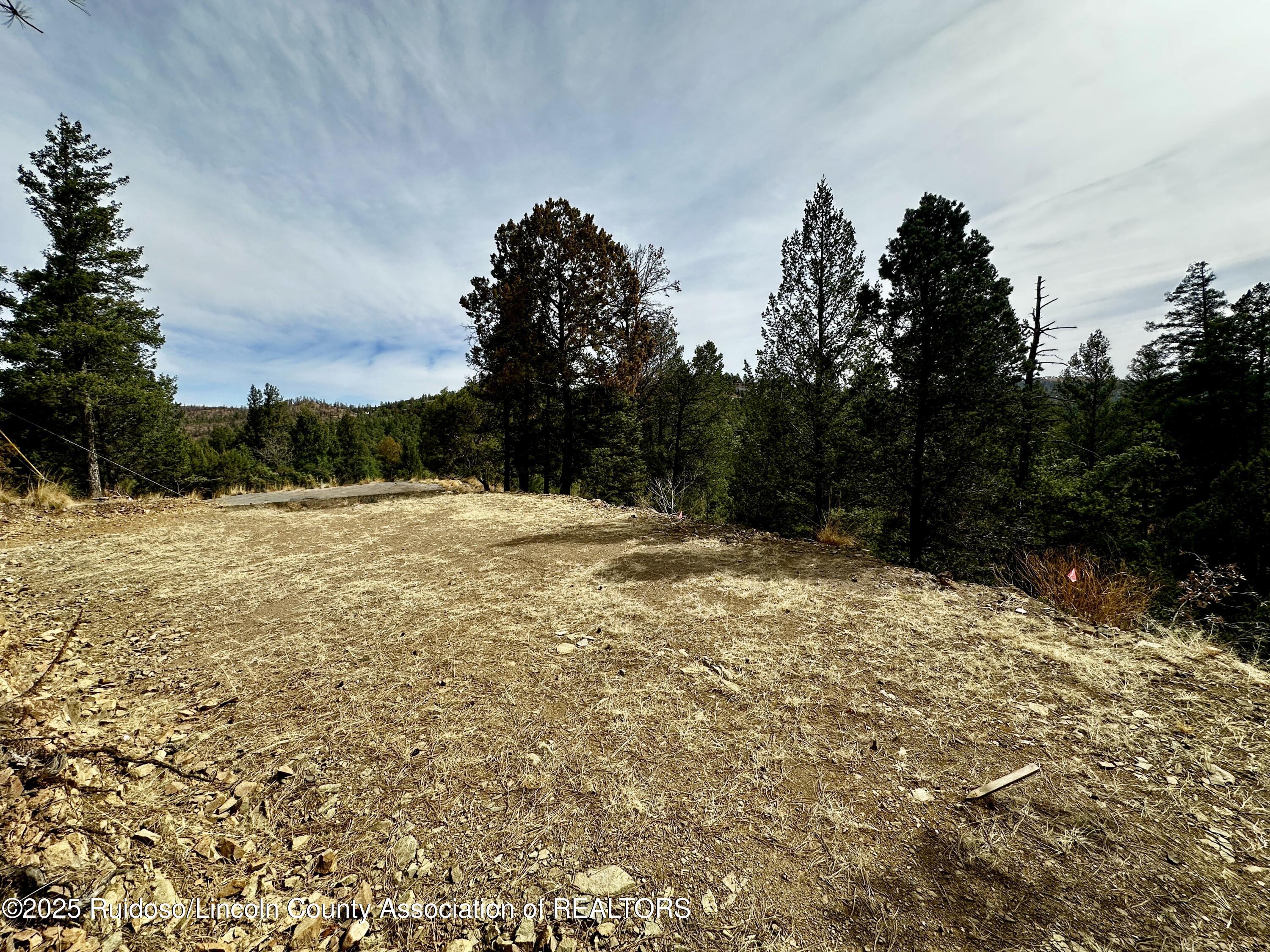 106 Nopal Lane, Ruidoso, New Mexico image 4