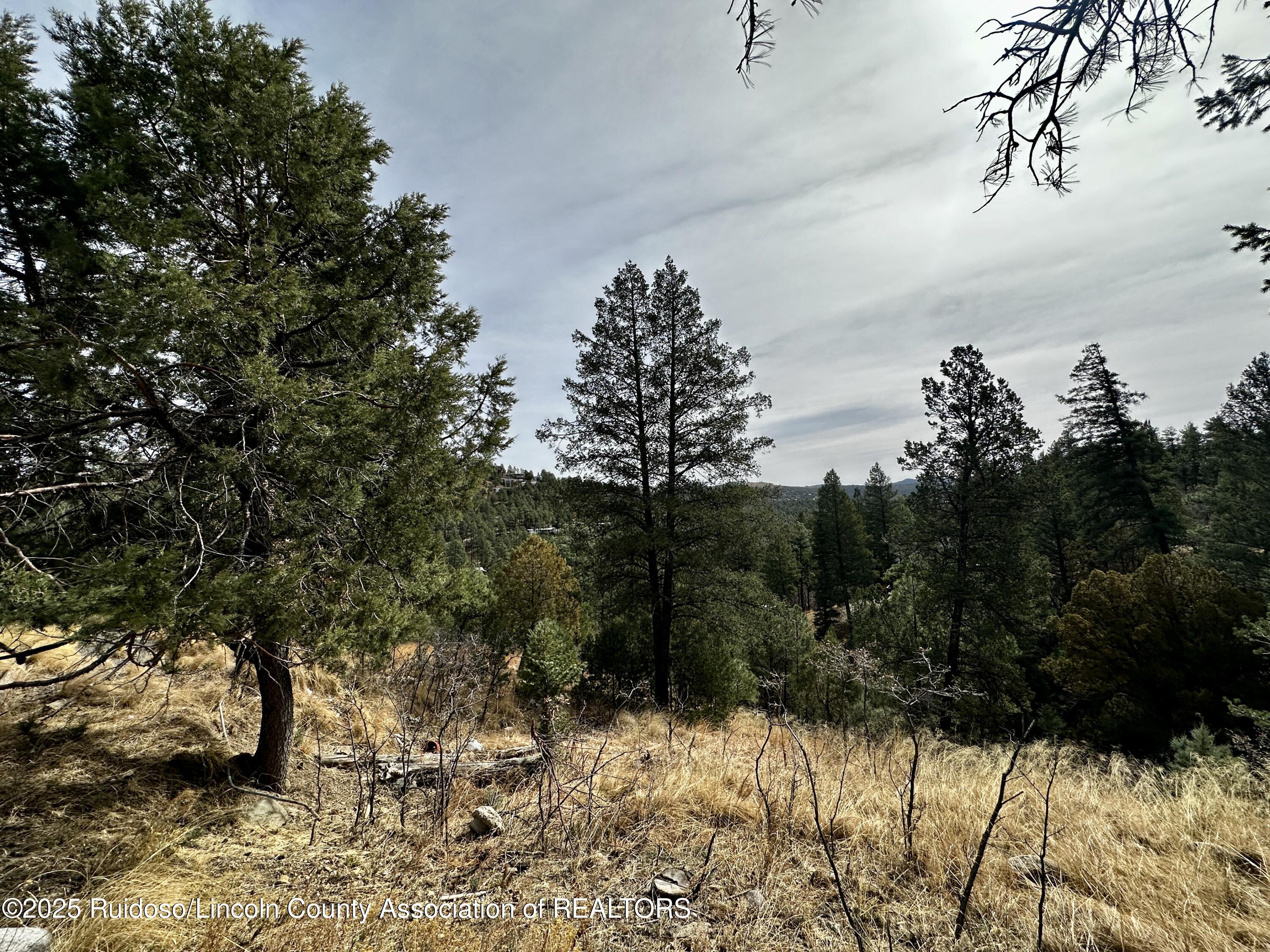 106 Nopal Lane, Ruidoso, New Mexico image 5
