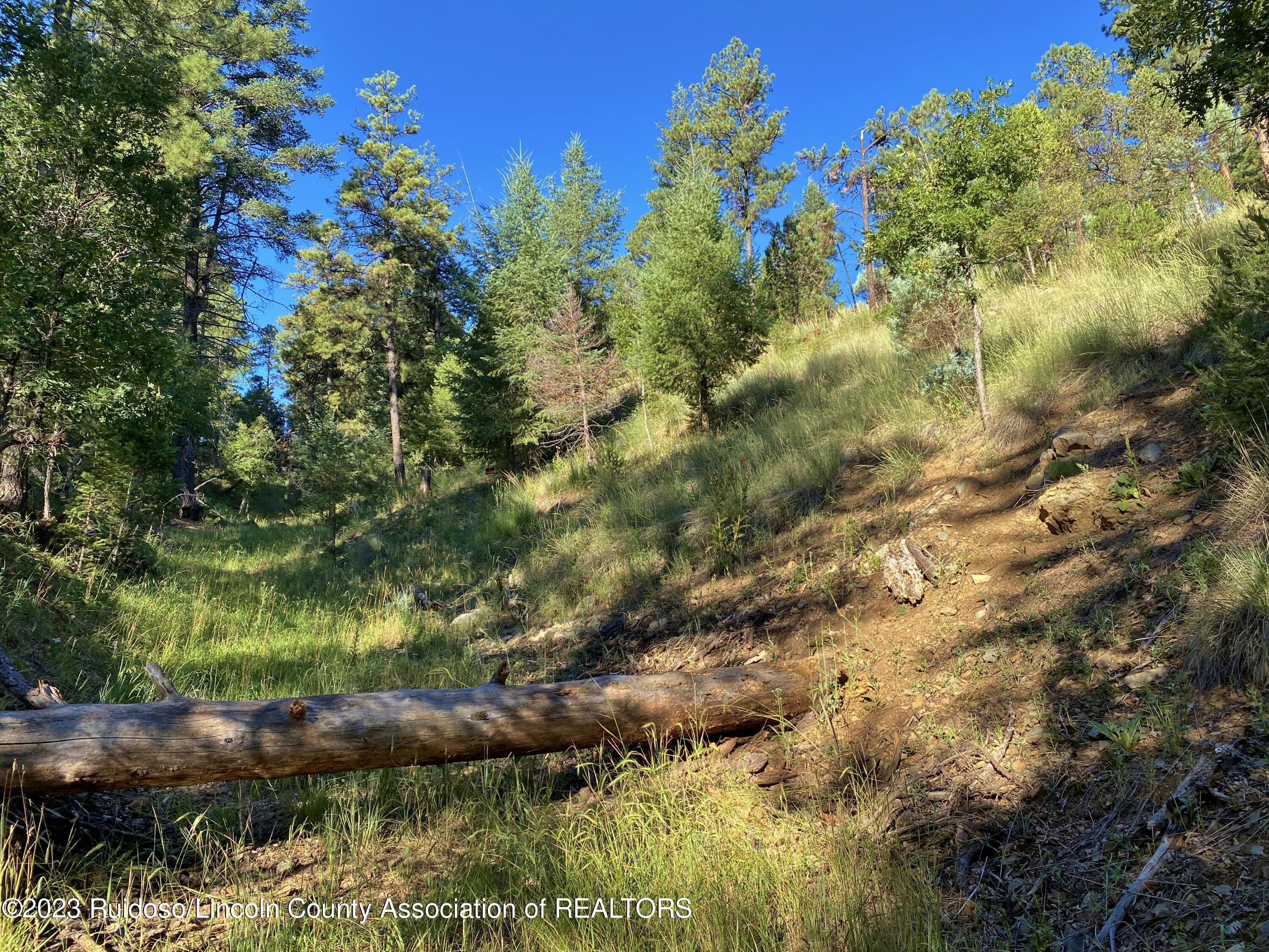 102-104 Beech Street, Ruidoso, New Mexico image 5