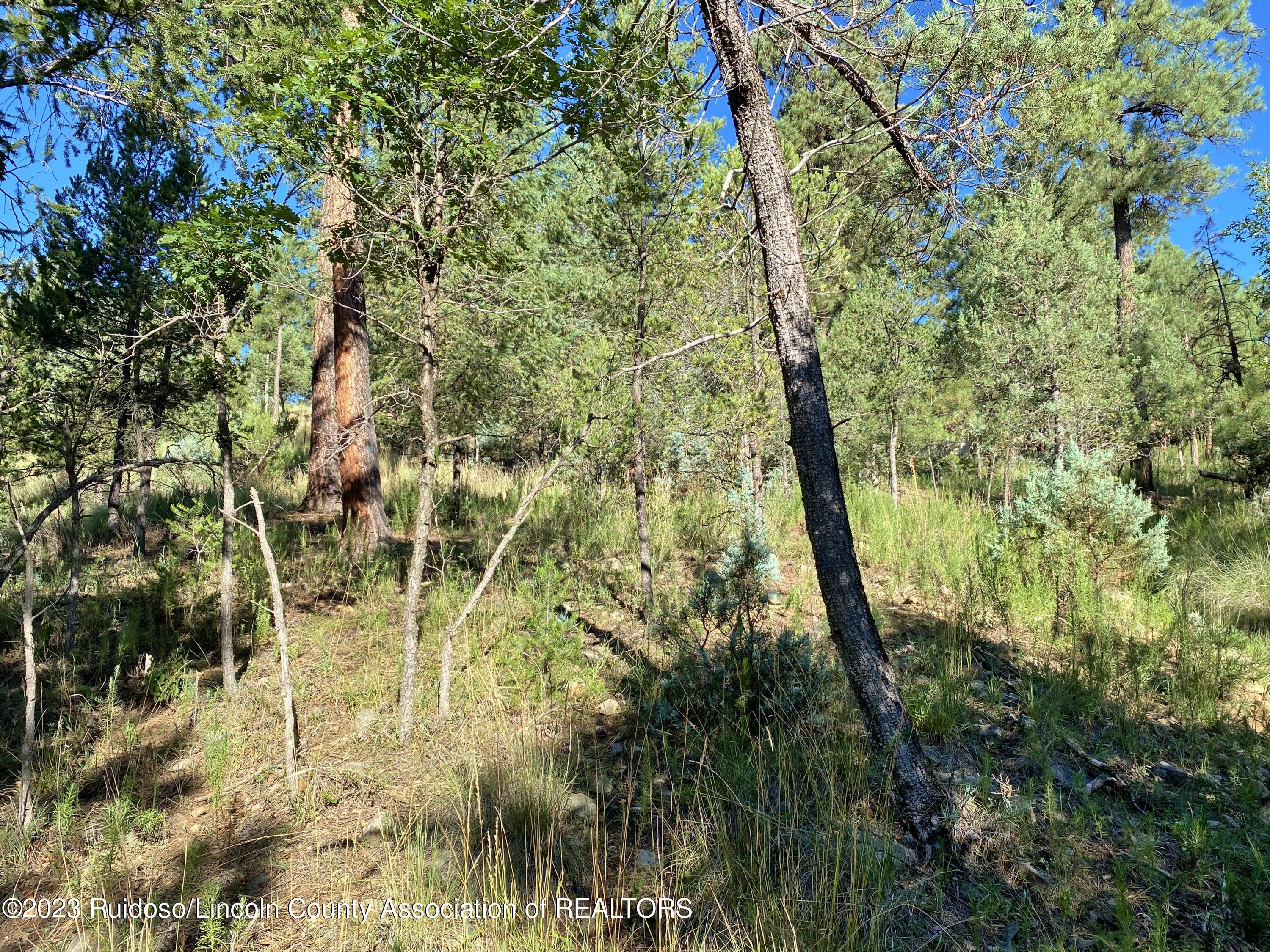 102-104 Beech Street, Ruidoso, New Mexico image 7