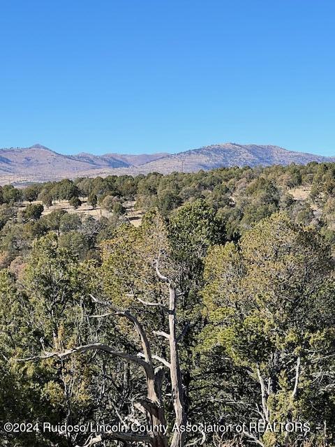 134 Caprock Court, Alto, New Mexico image 7