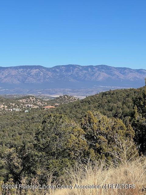 134 Caprock Court, Alto, New Mexico image 4