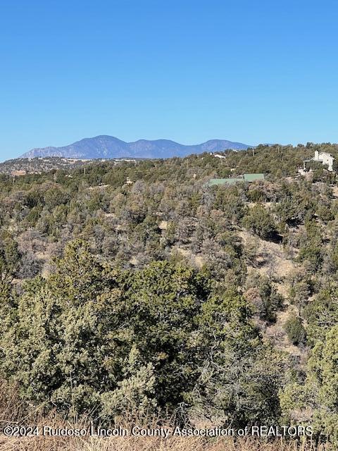 134 Caprock Court, Alto, New Mexico image 5