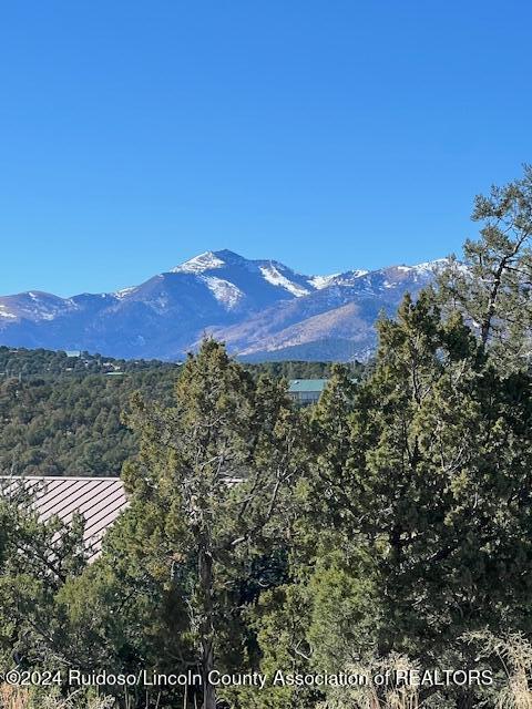 134 Caprock Court, Alto, New Mexico image 1