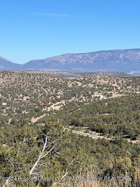 134 Caprock Court, Alto, New Mexico image 3