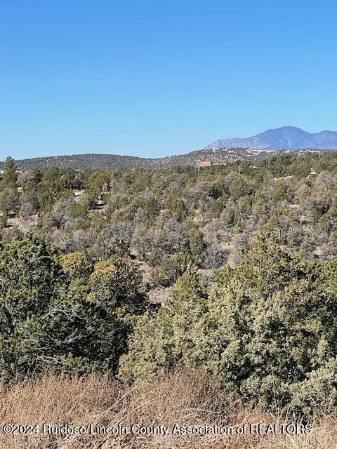 134 Caprock Court, Alto, New Mexico image 6