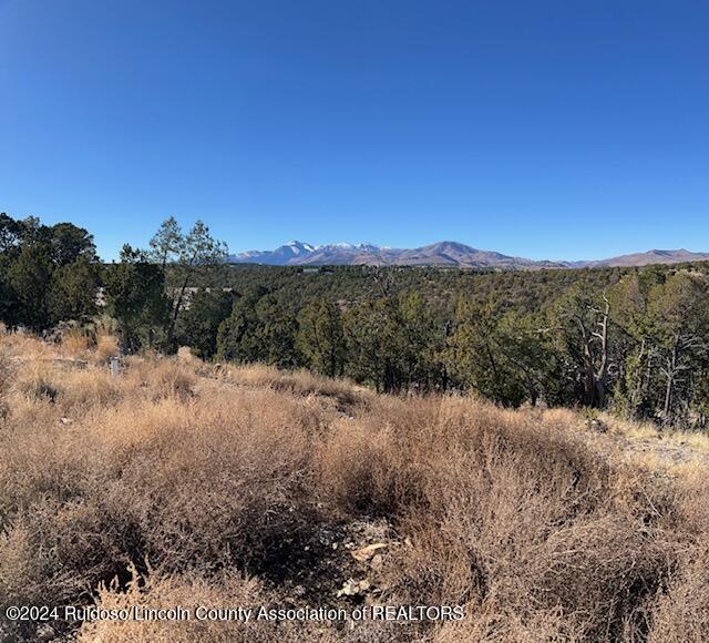 134 Caprock Court, Alto, New Mexico image 2