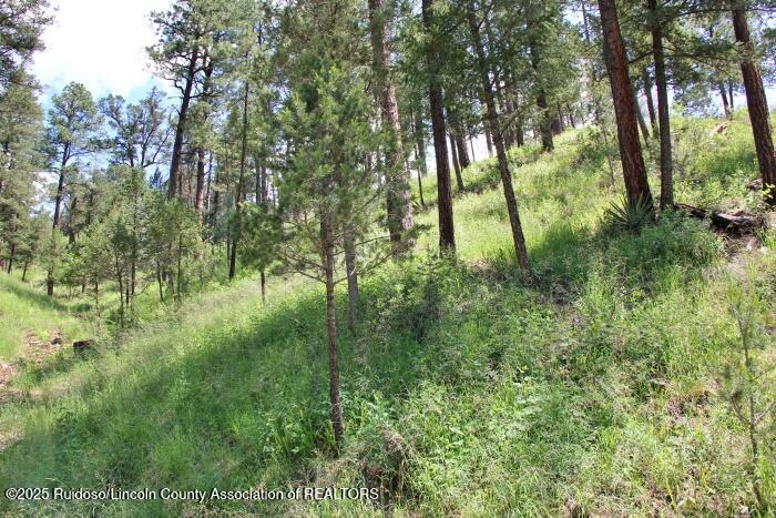 Ruidoso, New Mexico 88345, United States, ,Land,Active,188966