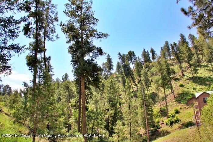 Ruidoso, New Mexico 88345, United States, ,Land,Active,188966