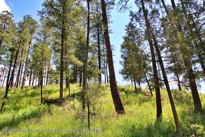 Ruidoso, New Mexico 88345, United States, ,Land,Active,188966